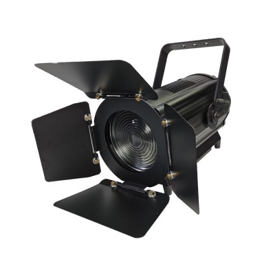 Auto Zoom 600W 2in1 fresnel led light